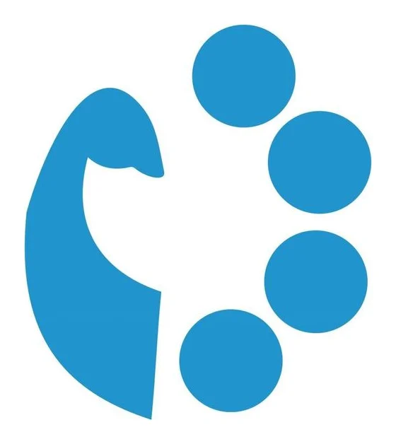 NanuBhaiProperty logo