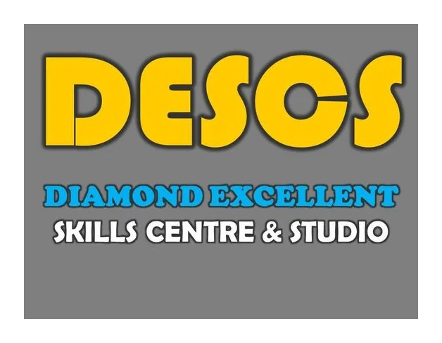 Diamond Excellent Skills Centre & Studio- DESCS logo