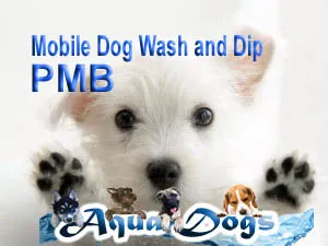 Aqua Dogs photo 2
