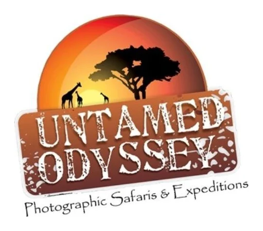 Untamed Odyssey Photographic Safaris logo
