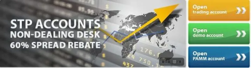 Lite Forex photo 4