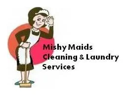 Mishy Maids & Laundry Services (Pty) Ltd logo
