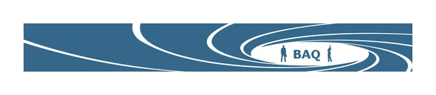 Business Action Queries logo