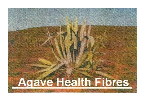Agave Health Fibres logo