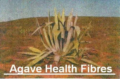 Agave Health Fibres photo 1