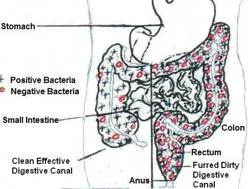 Agave Health Fibres photo 4