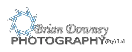 Brian Downey - Wedding Photography logo