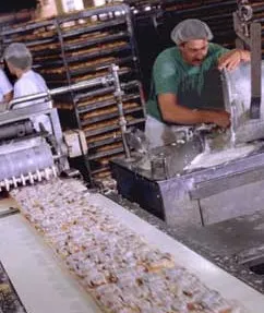 Goodyear Lightweight Conveyor Belt Food Processing Belts photo 1