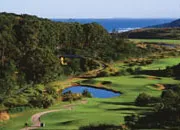 Ballito net photo 1