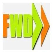 Flawless Web Design logo