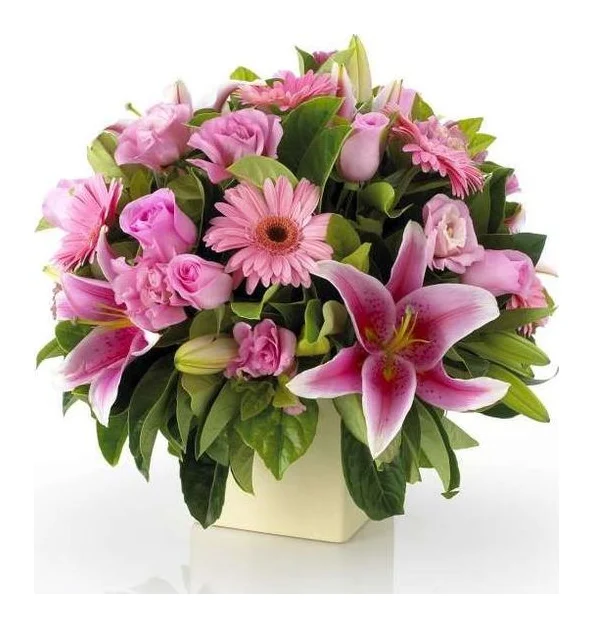 Dumsi Flowers and Gifts logo