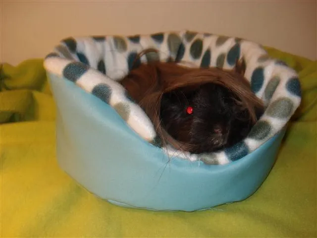 Eddie's Eden photo 1