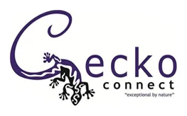 Gecko Connect Strategy Consultants logo
