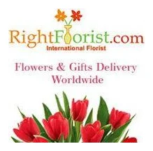 Now Gifts will do wonder on each and every special occasion logo