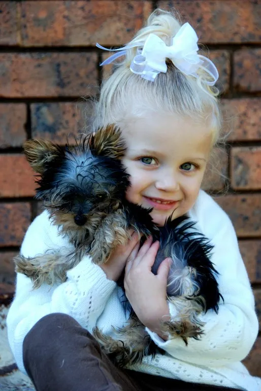 Alberton Baby Care: Wonderwerkies Babasentrum | Randhart | Alberton photo 3