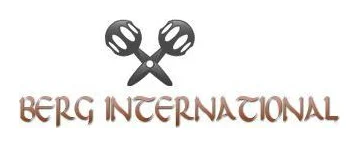 Berg International logo
