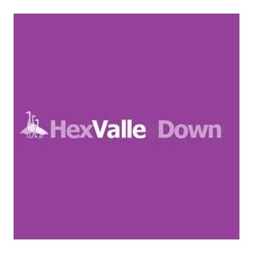 Hex Valley Down logo