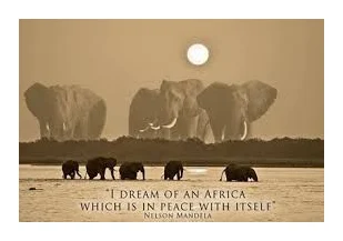 AFRIQUE ESCAPADES logo