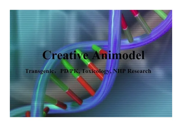 Creative Animodel logo