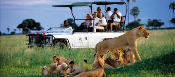 African Travel Hub photo 3