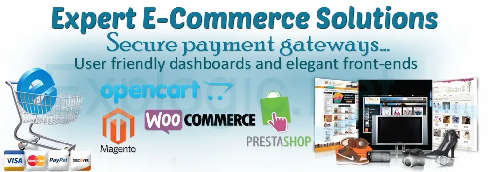 Ecommerce Website Design and Development Company photo 1