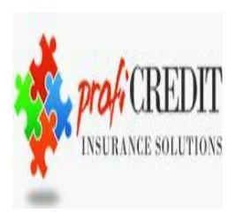 ProfiCredit Insurance Solutions logo