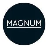 Advertising Agency Auckland | Magnum logo