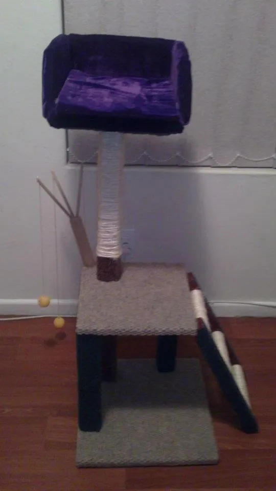 Kitty Kingdom Scratch Posts photo 4