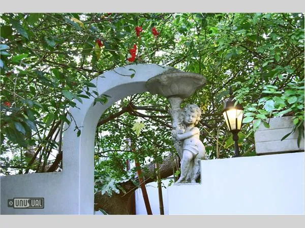 Jambo Guest House photo 1