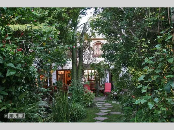 Jambo Guest House photo 2