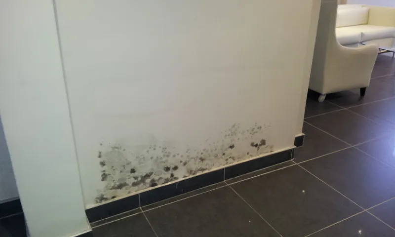 DAMPGUARD EAST PTY LTD photo 4