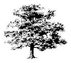 Oak Property Services logo
