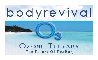 Body Revival Institute cc logo