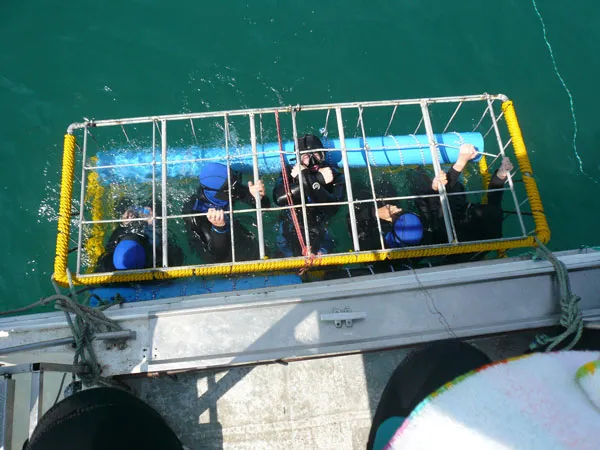 Extreme Scene Adventure Tours photo 4