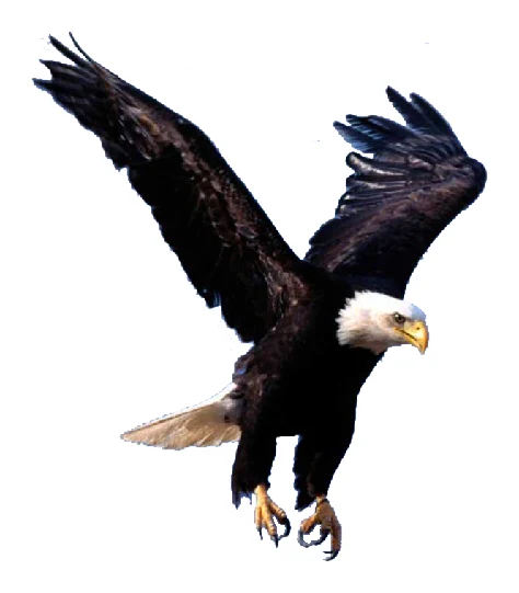 Eagle Tech logo