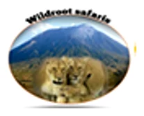 WILD ROOT SAFARI AND ADVENTURES logo