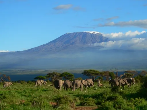 Kili Slope Tours and Safaris photo 2