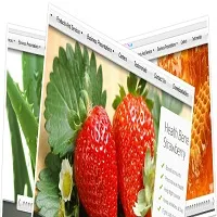 Grace Imprints Website Solution photo 3