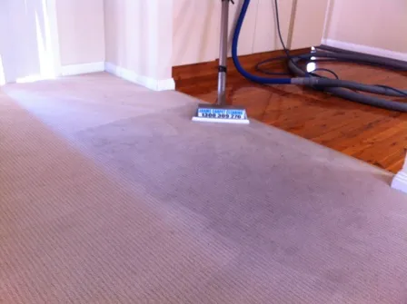 Adam's Carpet Cleaning photo 3