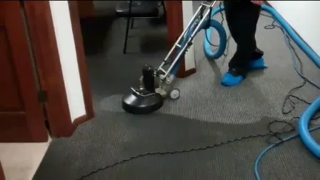 Adam's Carpet Cleaning photo 4