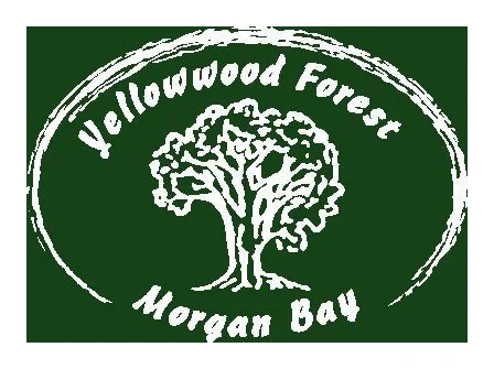 Yellowwood Forest Campsite & Tea Garden logo