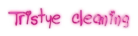tristye cleaning logo