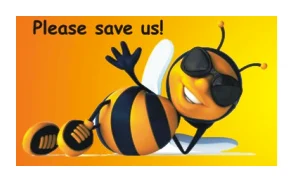 AA BEE REMOVALS logo