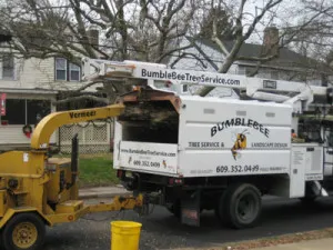 Bumblebee Tree Service & Landscape Design LLC photo 4
