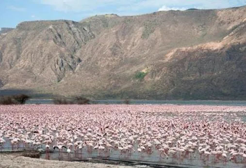 Kaswan Tours and Safaris photo 2