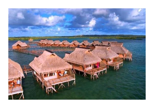 Flamingo bay honeymoon logo