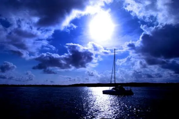 Flamingo bay honeymoon photo 1