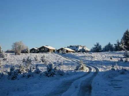 Concept Bulgaria Property Ltd photo 1