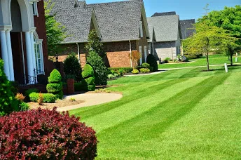 GreenPal photo 2