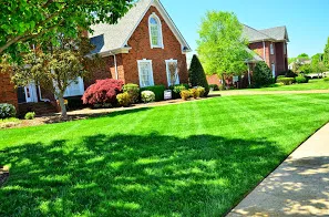 GreenPal photo 3